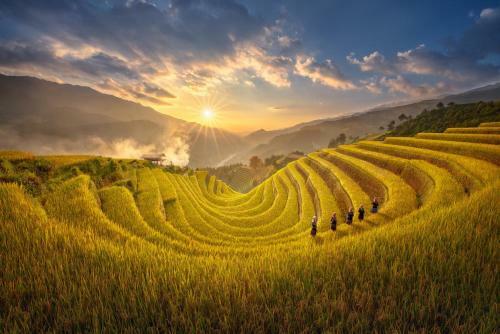 Lodge Hello Mu Cang Chai Homestay