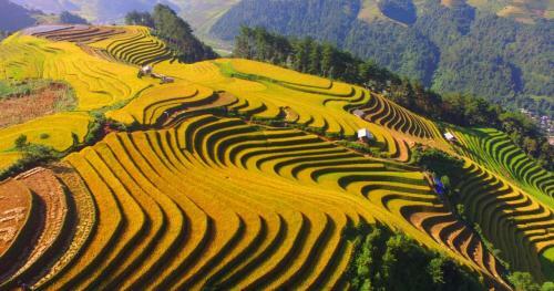 Lodge Hello Mu Cang Chai Homestay