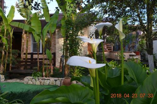 Hostal U Palycha Guest House