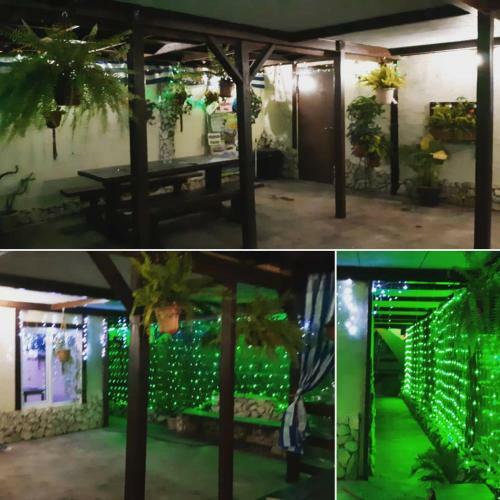 Hostal U Palycha Guest House