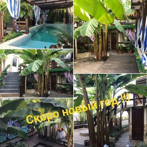 Hostal U Palycha Guest House