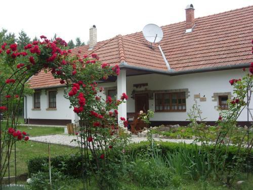 Apartamento Cinege Vend�gh�z