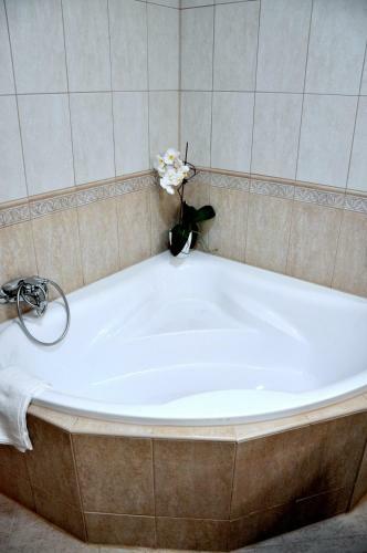 Hotel Forster Vad�szkast�ly �s Sz�lloda