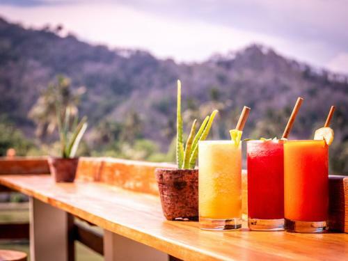 Hotel Mango Lodge
