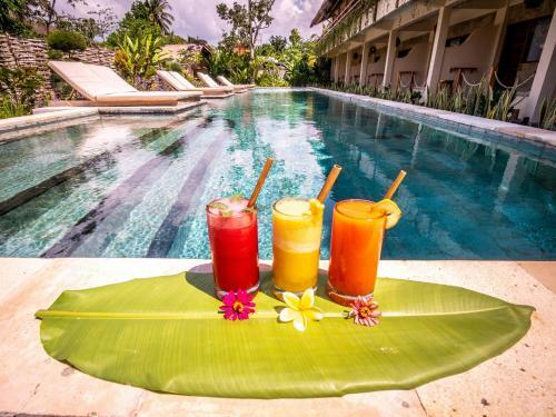 Hotel Mango Lodge