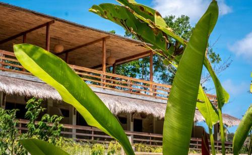 Hotel Mango Lodge