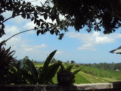 Teras Subak Jatiluwih