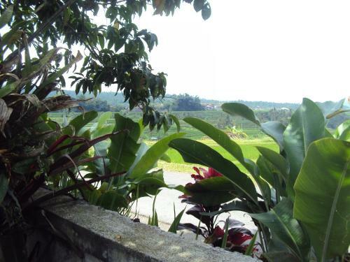Teras Subak Jatiluwih