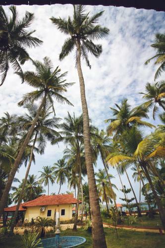 Hotel Paradise Lagoon