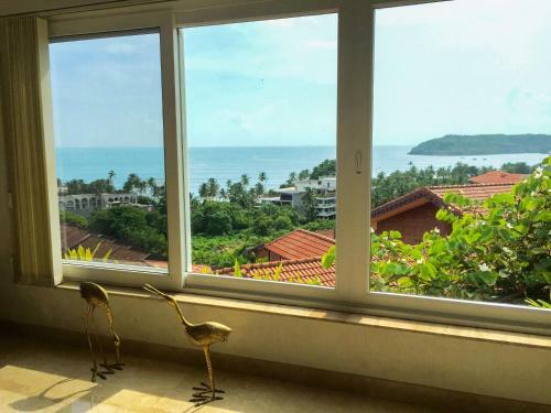 Dolphin Heights Ocean View Villa