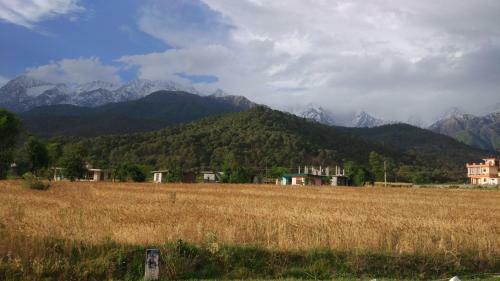 Hotel Chimbalhar Heights