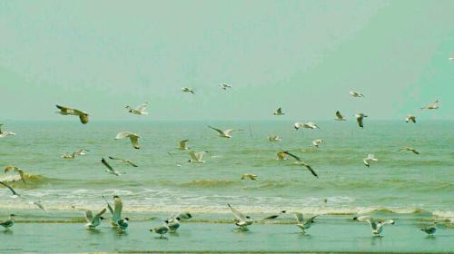 Hotel Le Pearl Resort