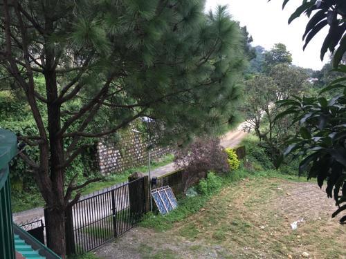 Villa Pinewood Cottage - Your Home Amidst Nature