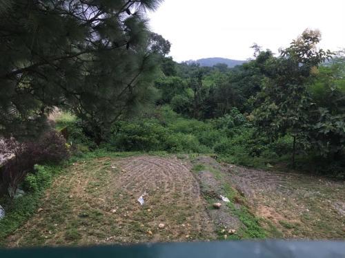 Villa Pinewood Cottage - Your Home Amidst Nature