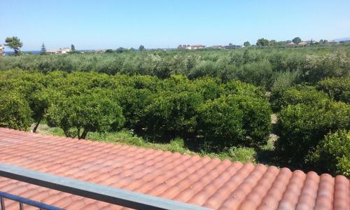 Agroturismo Artemis