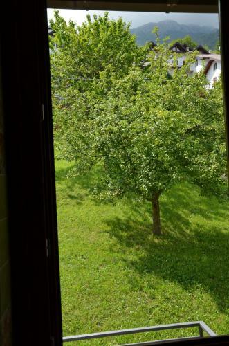 Bed & Breakfast 4 Racconti
