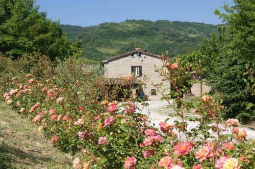 Agroturismo Agriturismo Corte Dei Mori