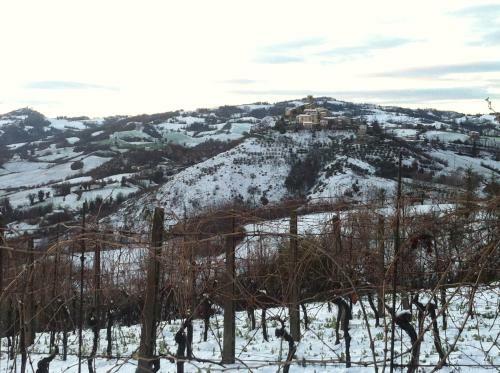 B&B C� Biocco
