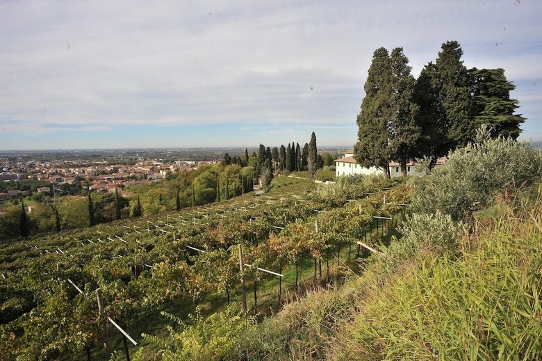 Agroturismo Il Convento Di Villa San Fermo