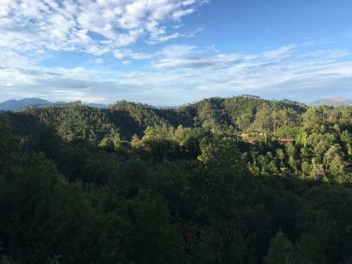 Apartamento Il Frantoio