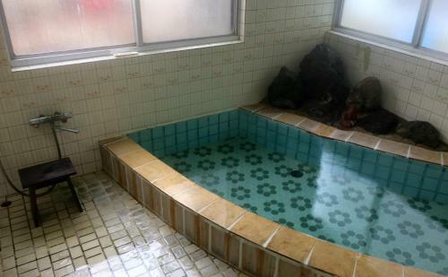 Onsen Minshuku Sakaeya