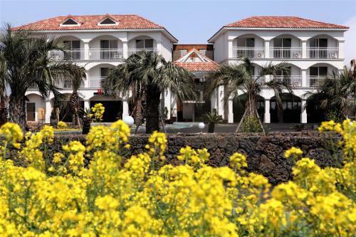 Mj Pension & Resort