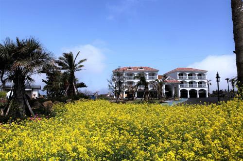 Mj Pension & Resort