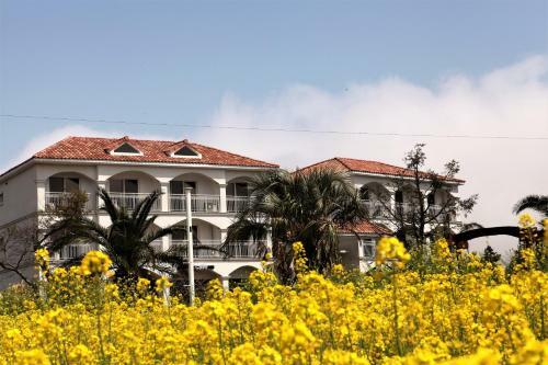 Mj Pension & Resort