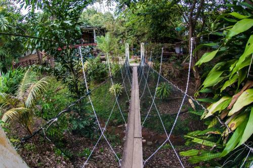 Hotel Han Rainforest Resort