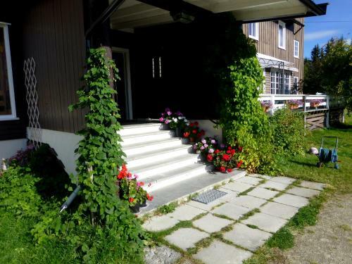Hotel Tronsvangen Seter