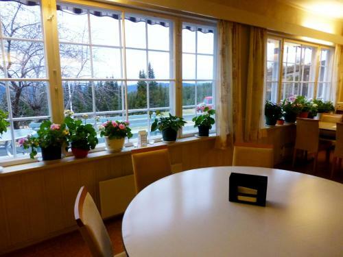 Hotel Tronsvangen Seter