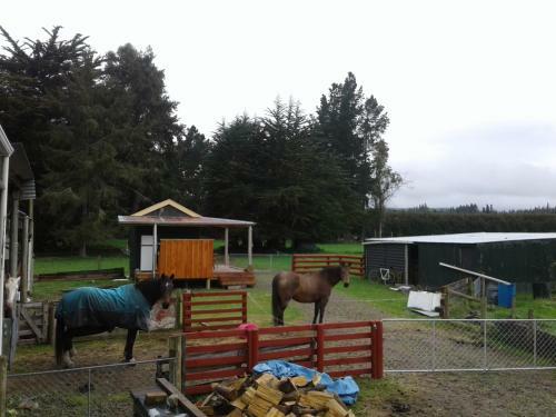 Agroturismo Rosabella