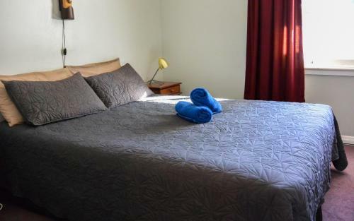 Hostal Blue Moon Lodge