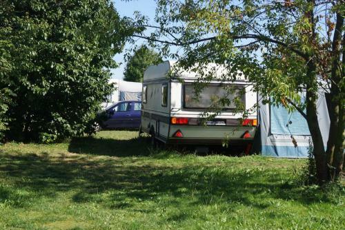 Camping - Park W?adys?awowo