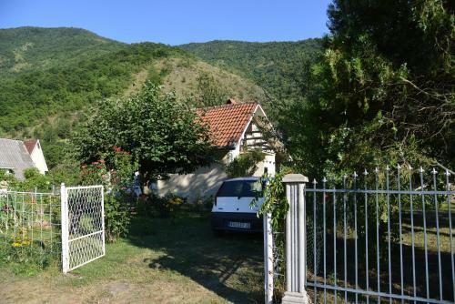 Porodica Kovacevic