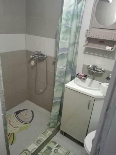 Apartmani Jankovi?