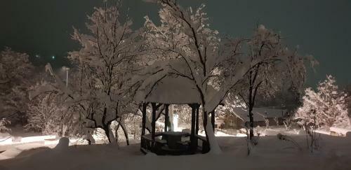 Apartmani Jankovi?