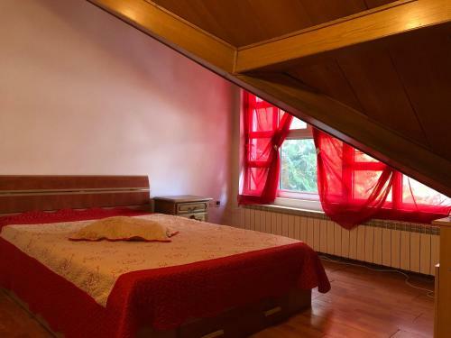 Hotel Vila Andreea