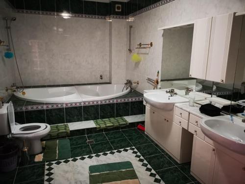 Hotel Vila Andreea