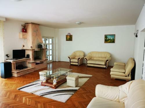 Hotel Vila Andreea