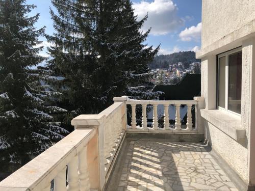 Hotel Vila Andreea