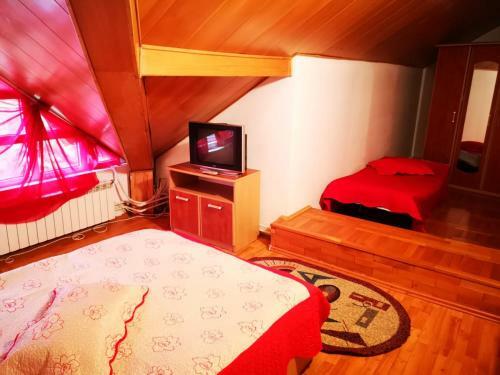 Hotel Vila Andreea
