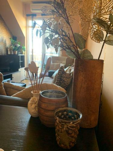 Slavka Apartment