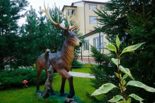 Zhar Ptitsa Hotel