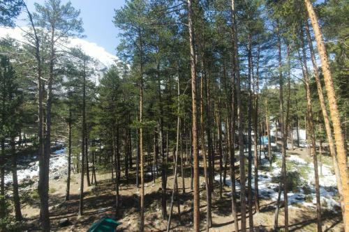 Posada Sosnovy Bor Inn