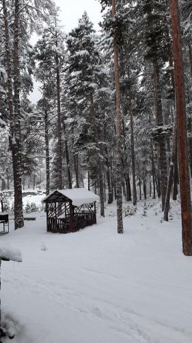 Posada Sosnovy Bor Inn