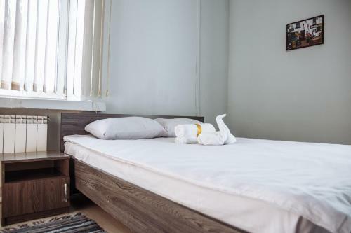 Dom Hostel