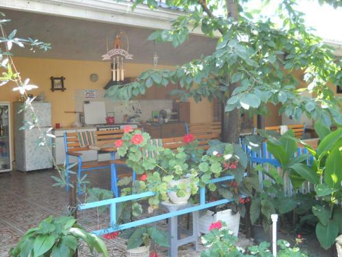 Hostal Guesthouse Novosolov