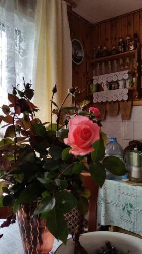 Hostal Guest House Sebezh