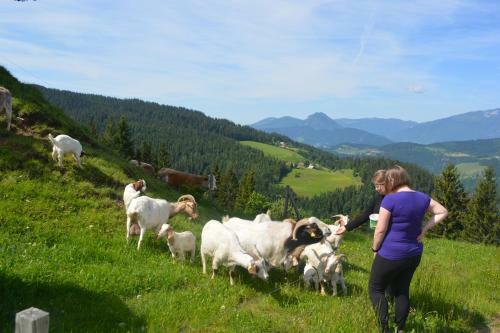 Agroturismo Tourist Farm Viso?nik